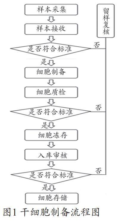 干细胞实验室流程