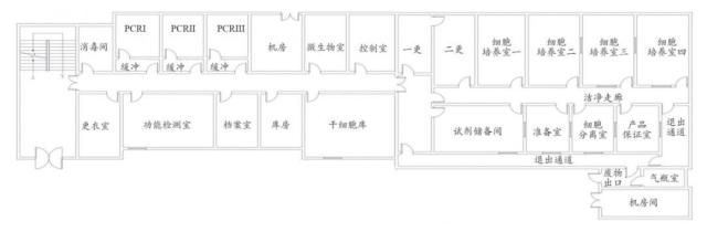 干细胞实验室